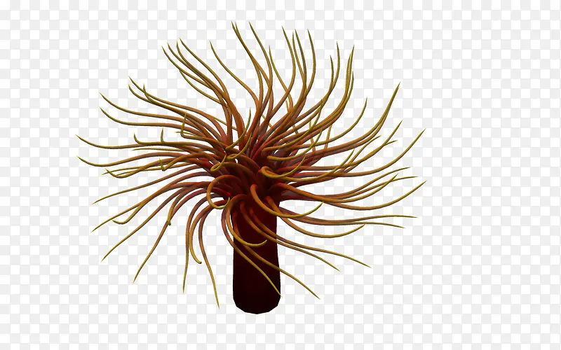 ������3d��ͨ����-������