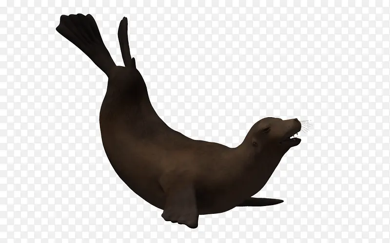 ���׺�������-������