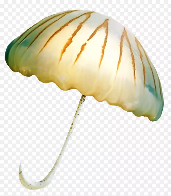 ���Ĳ��͵����ʼ���������-����-������