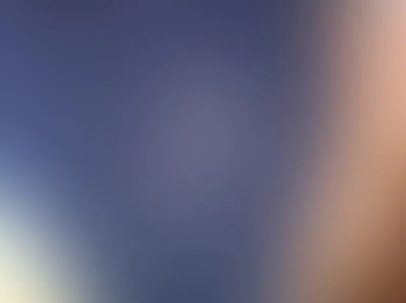 ��ɫ��ɫ��˹ģ��-������