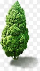 ��ɫ����ģ������-������