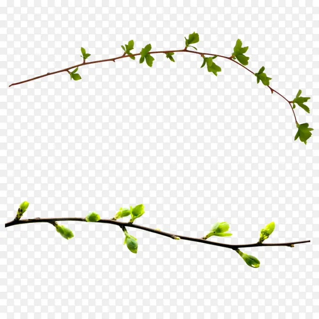 ��֦-������