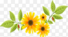 ʱ�л�ɫ����ģ����Ҷ-������