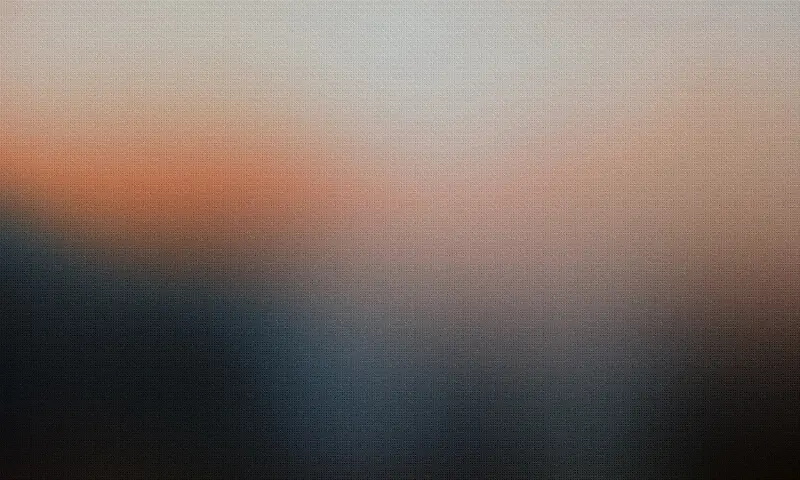 ģ���ĺڳ�ɫ����-������