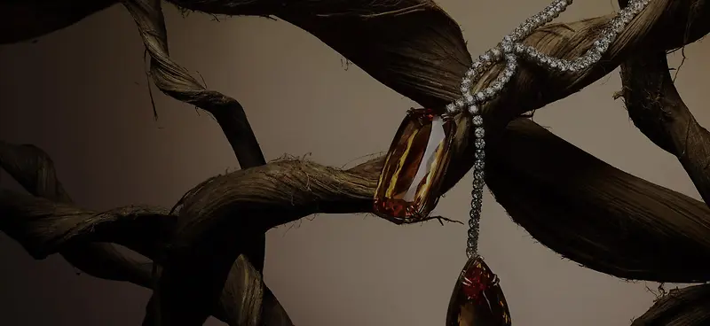 ģ������ĸ���֦-������