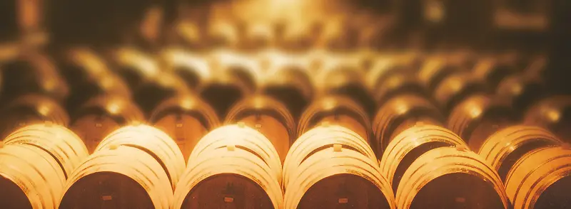 ģ������-������