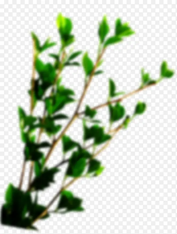 ģ��������-������