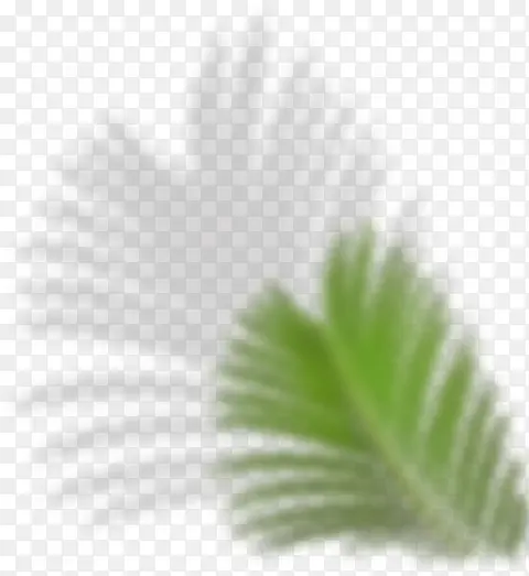 ģ�� �����Ҷ��-������