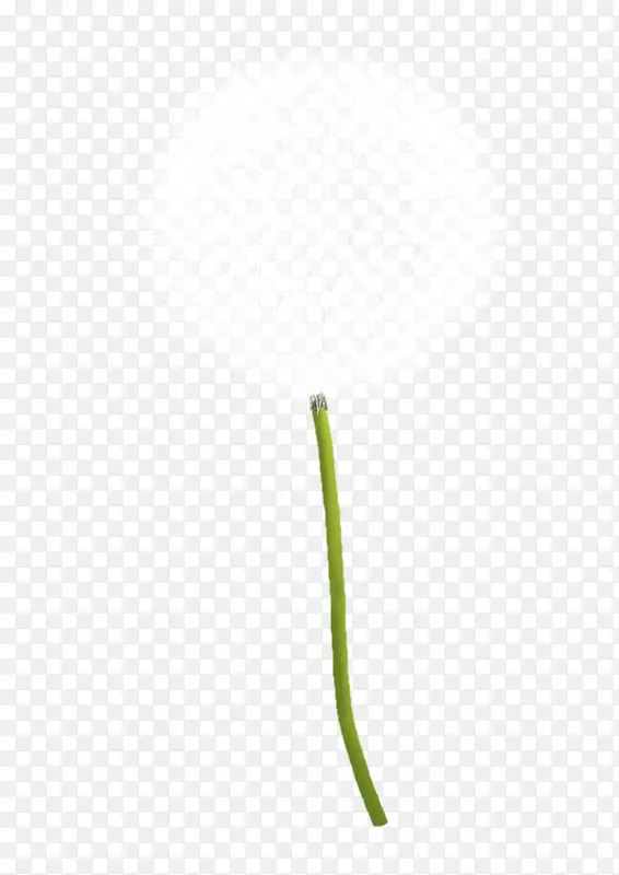 Ҷ��ֲ�ﾥϵ�ѹ�Ӣ-������