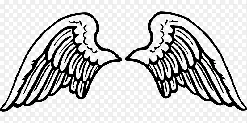 �滭���ؼ�������-�����ʹ-������