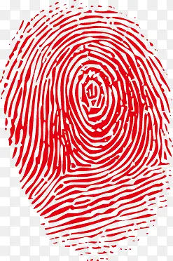 ָ��-������