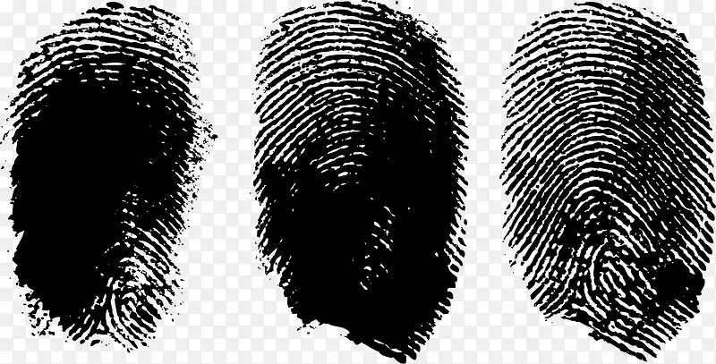 ָ��-������