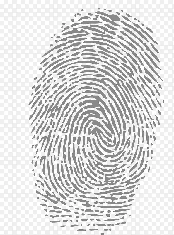 ��ָͨ��-������