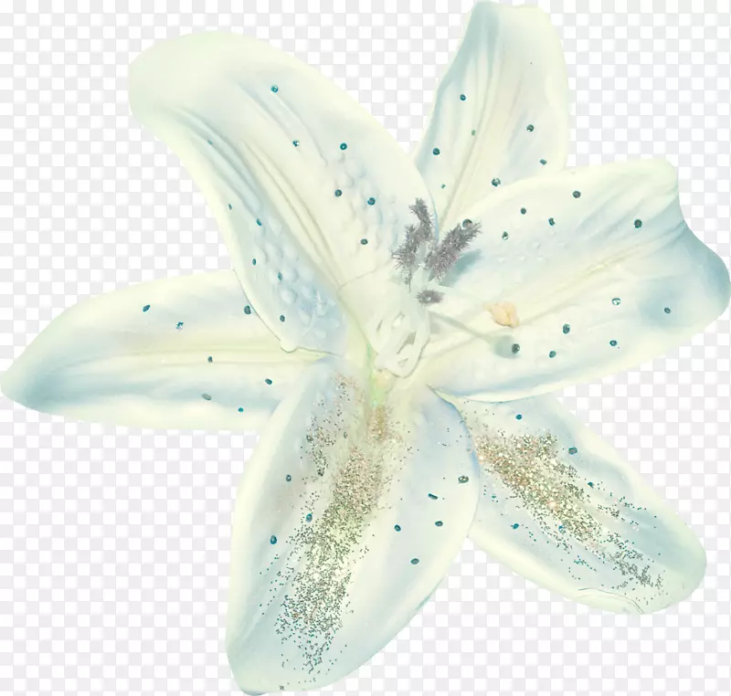 �����격��-������