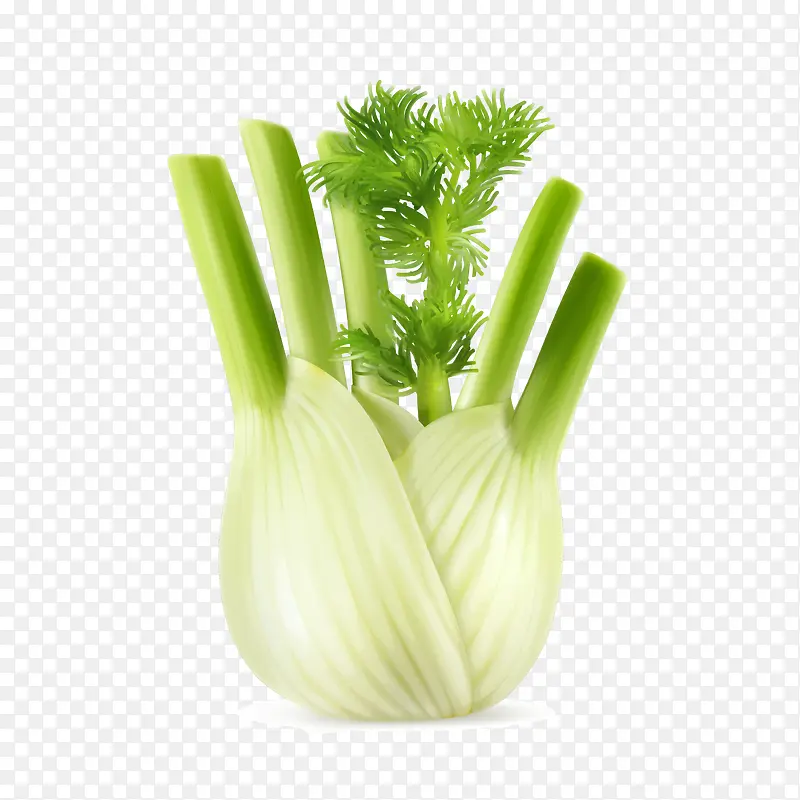 ��ɫʳ������-������