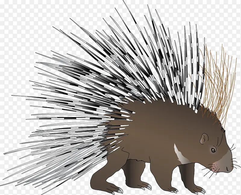 Ұ������ʸ��ͼ-������