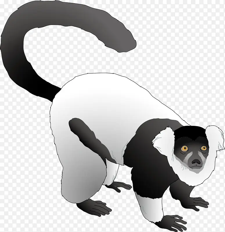 Ұ������ʸ��ͼ-������