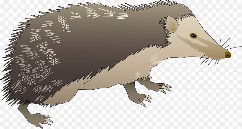 Ұ������ʸ��ͼ-������