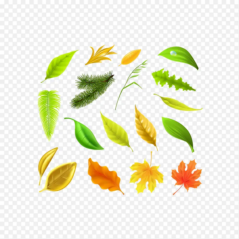 ����ֻ�Ҷ��-������