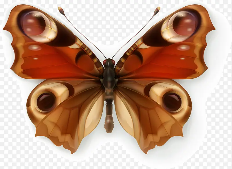 ����ʸ��Ч��ͼ-������