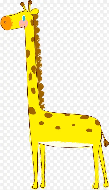 ����¹-������