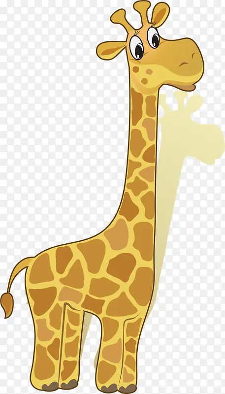 �ֻ泤��¹-������