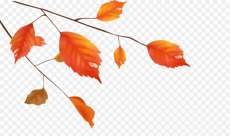 �ֻ��Ҷ-������