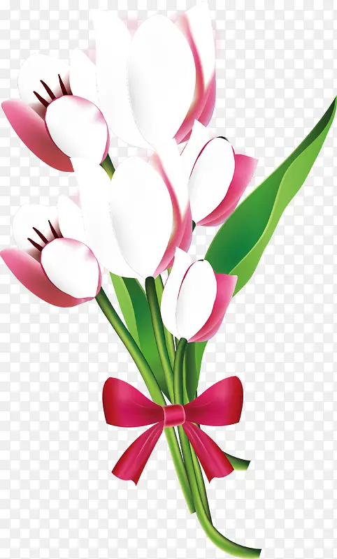 �ʻ��ʻ�ʸ��ͼ-������