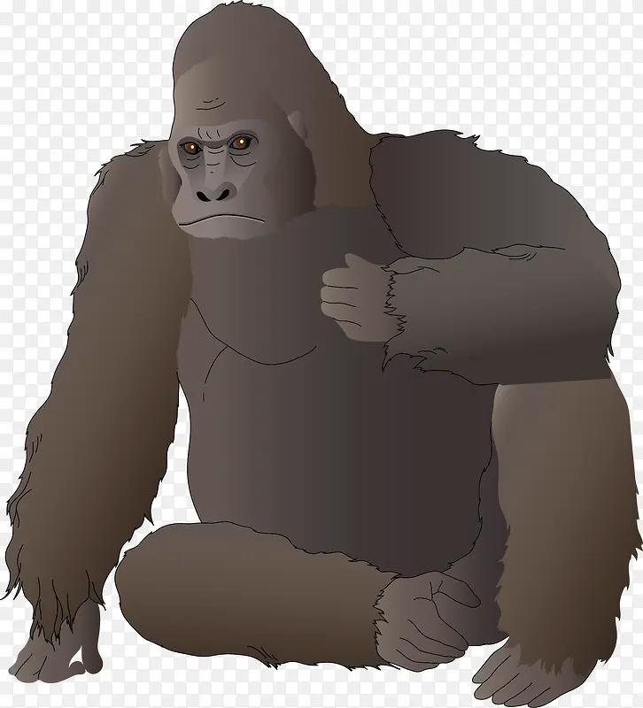 ����Ұ������ʸ��ͼ-������