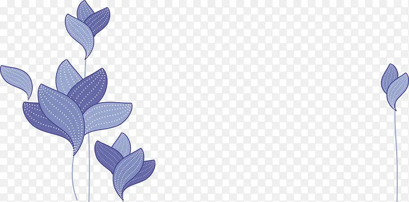 ��ɫ��������-������