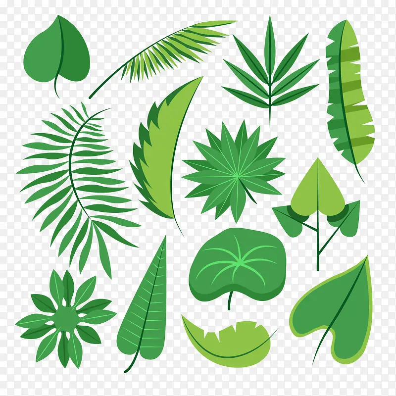 ��ɫҶ������-������