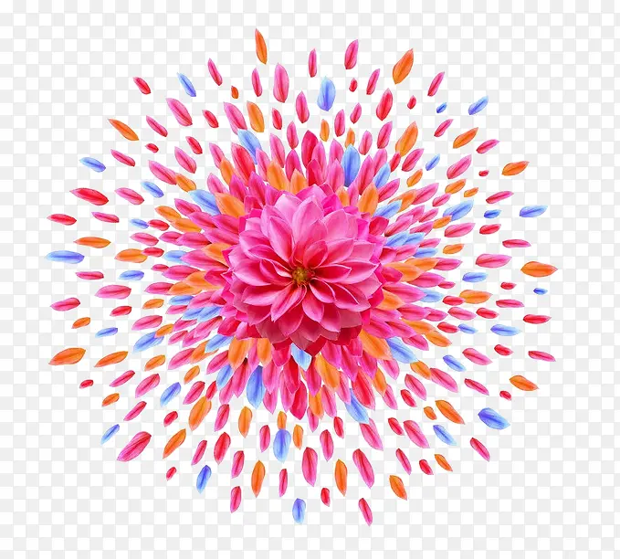 ��ɫ����ƴ���̻���״-������