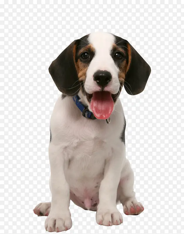 ����-������