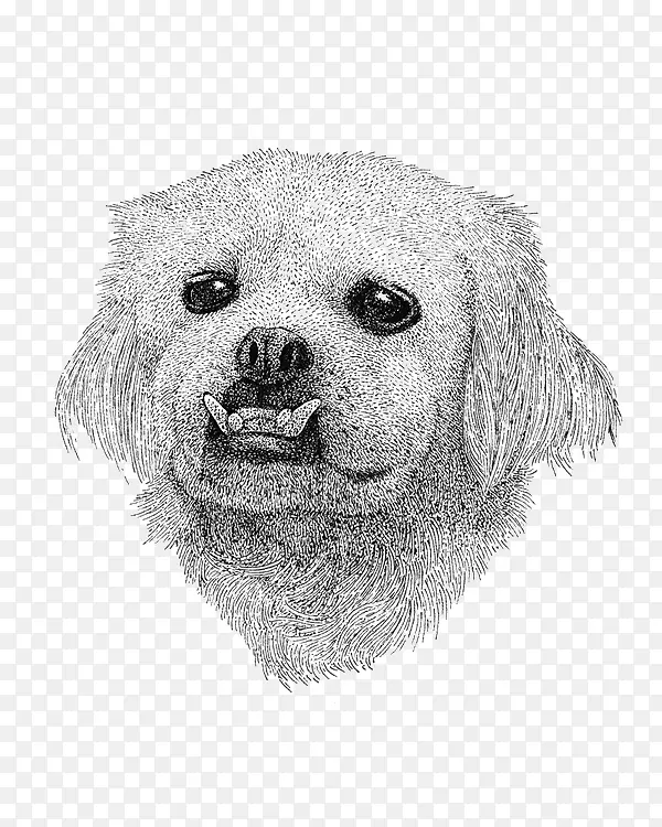 �ֻ湷-������