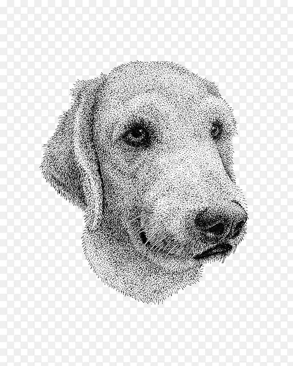 �ֻ湷-������