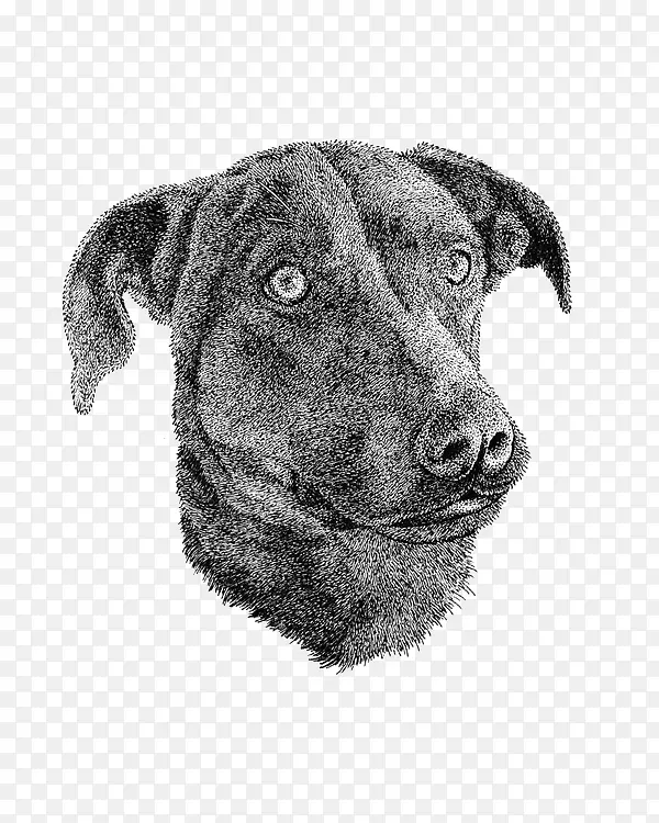 �ֻ湷-������