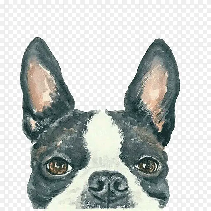 ˮ�ʹ���-������