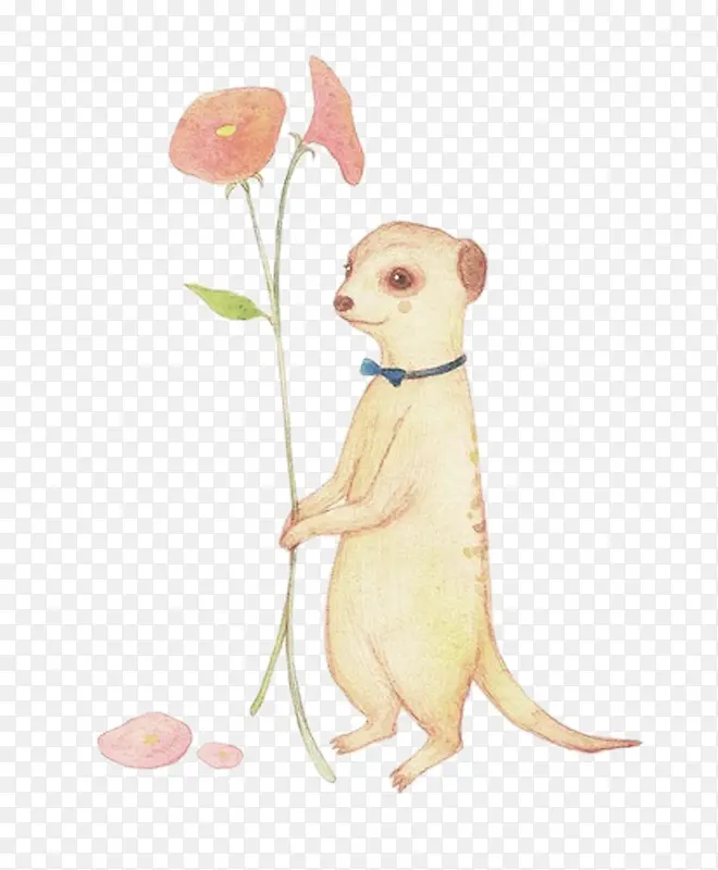 �ֻ�С�������ز�-������