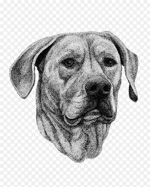 �ֻ湷-������