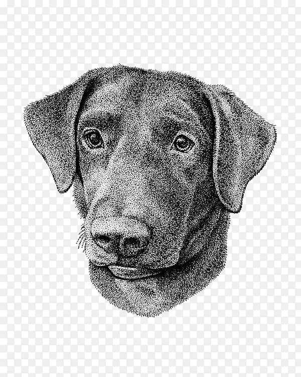 �ֻ湷-������