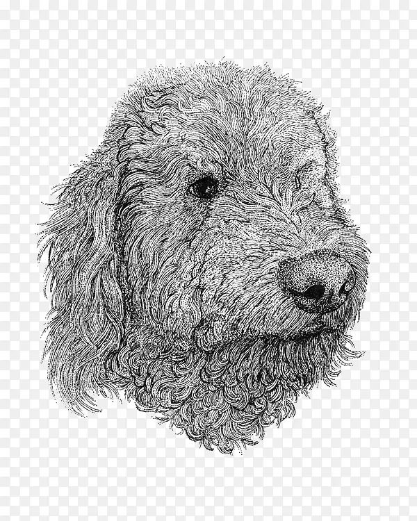 �ֻ湷-������