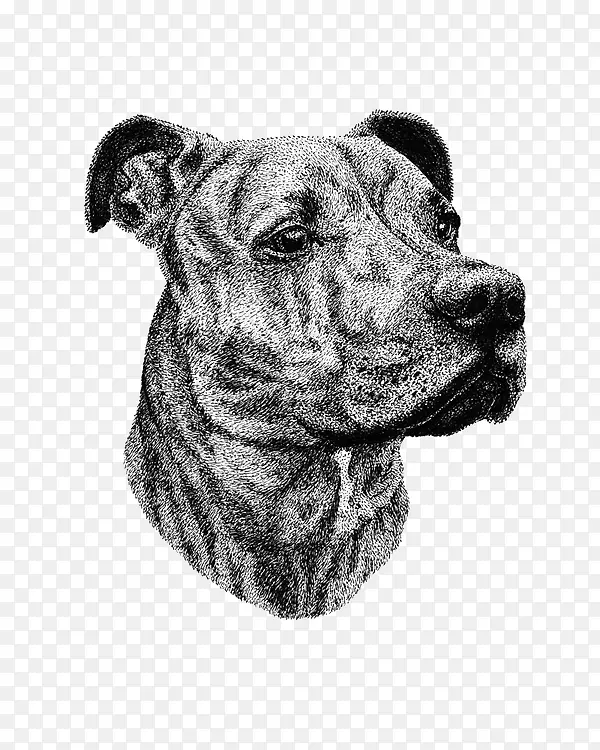 �ֻ湷-������