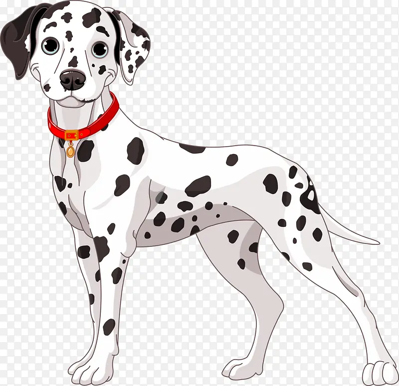 �ɰ��ߵ㹷-������