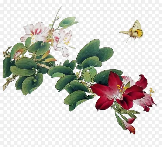 Ϳѻ�廭��ֲ�����-������