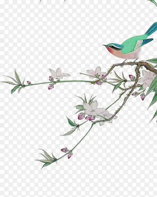 ͿѻЧ����֦�����-������