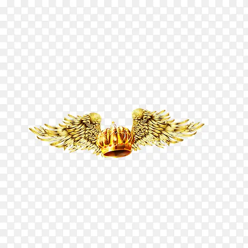 �ʹ�-������