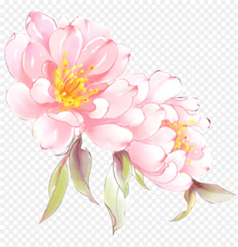 ��ͨ�ֻ��ɫ�ʻ�-������