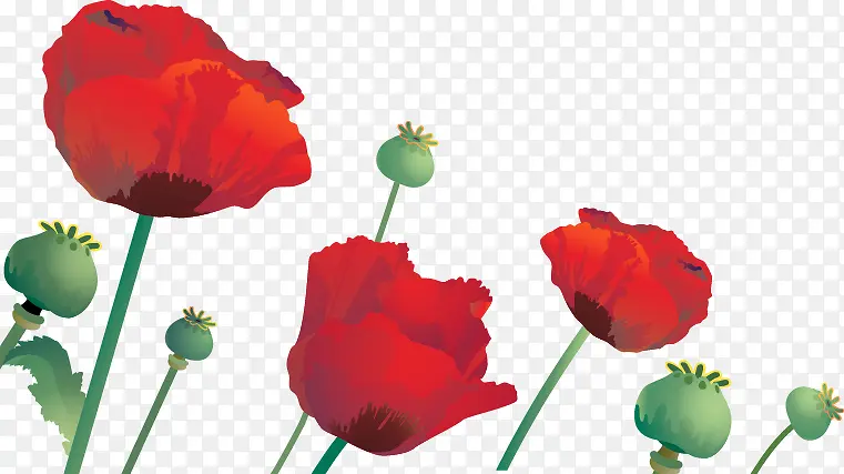 ��ͨ�ֻ��ɫС��-������