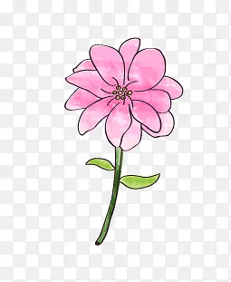 ��ͨ�ֻ�С��-������