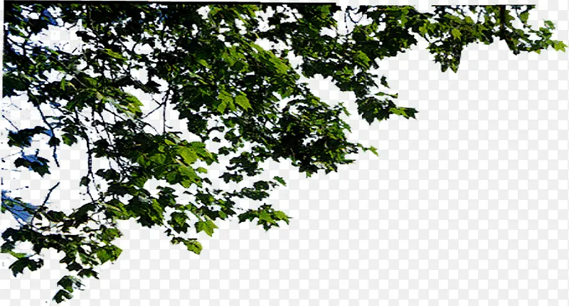 ������յ�����Ӱ-������